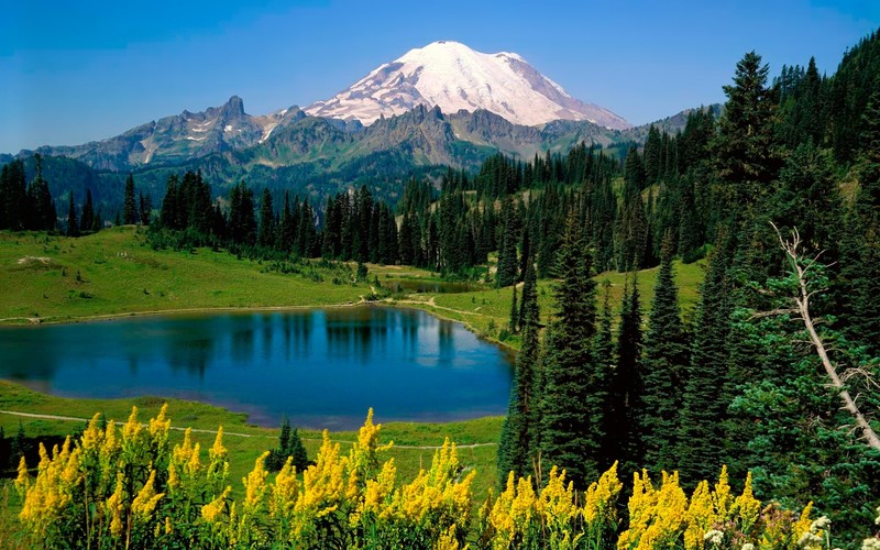 Вид горы с озером и деревьями на переднем плане (гора рейнир, mount rainier, озеро типсу, tipsoo lake, национальный парк)