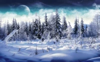 winter, nature, snow, freezing, tree wallpaper