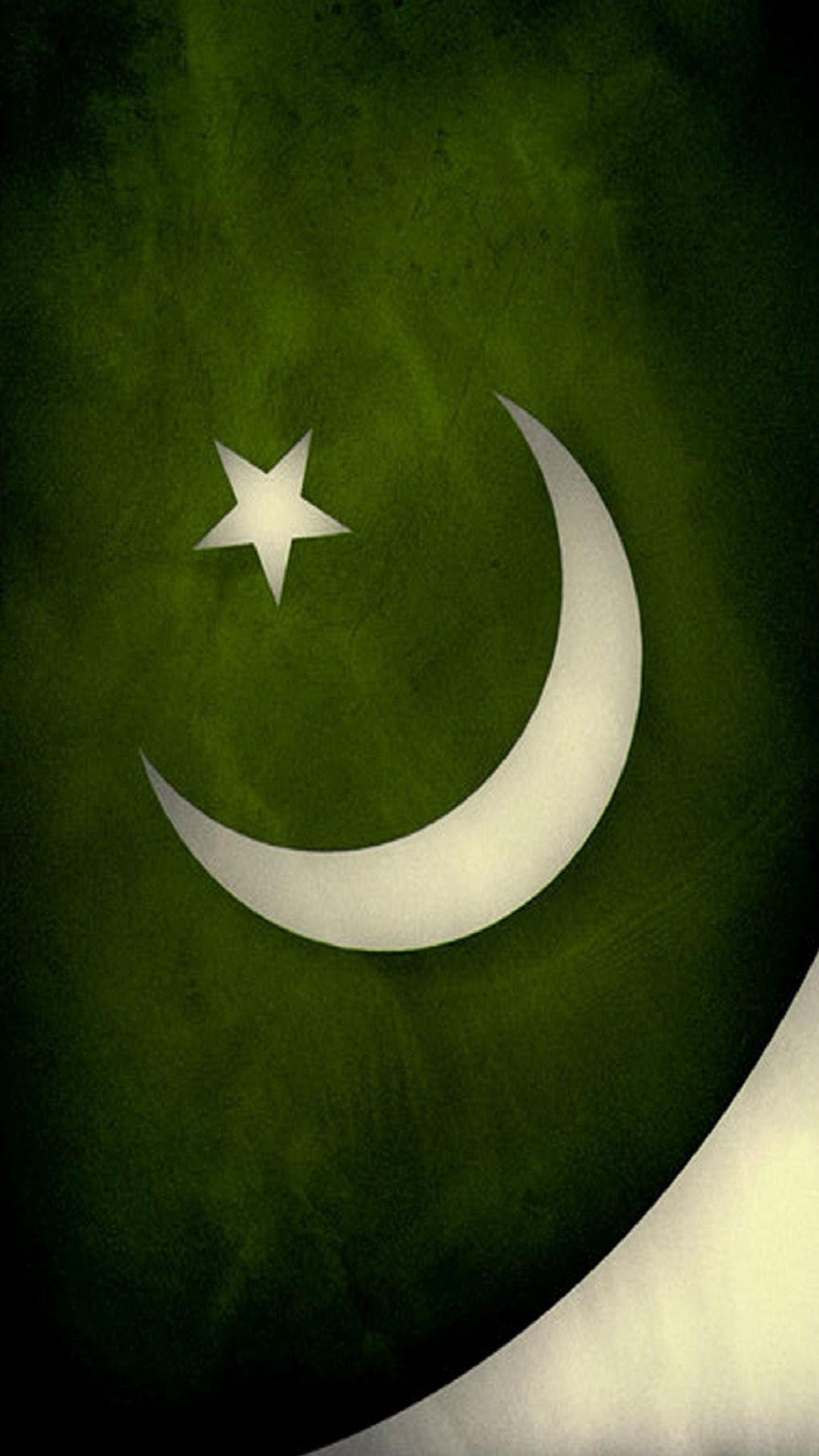 flag, pakistan, pakistani, pmln, ppp Download Wallpaper