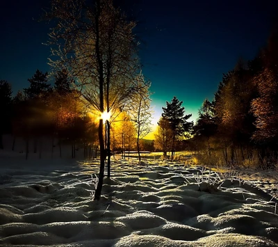 Amanecer sobre un paisaje invernal cubierto de nieve