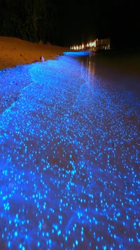 beach, glow, night, ocean, sand