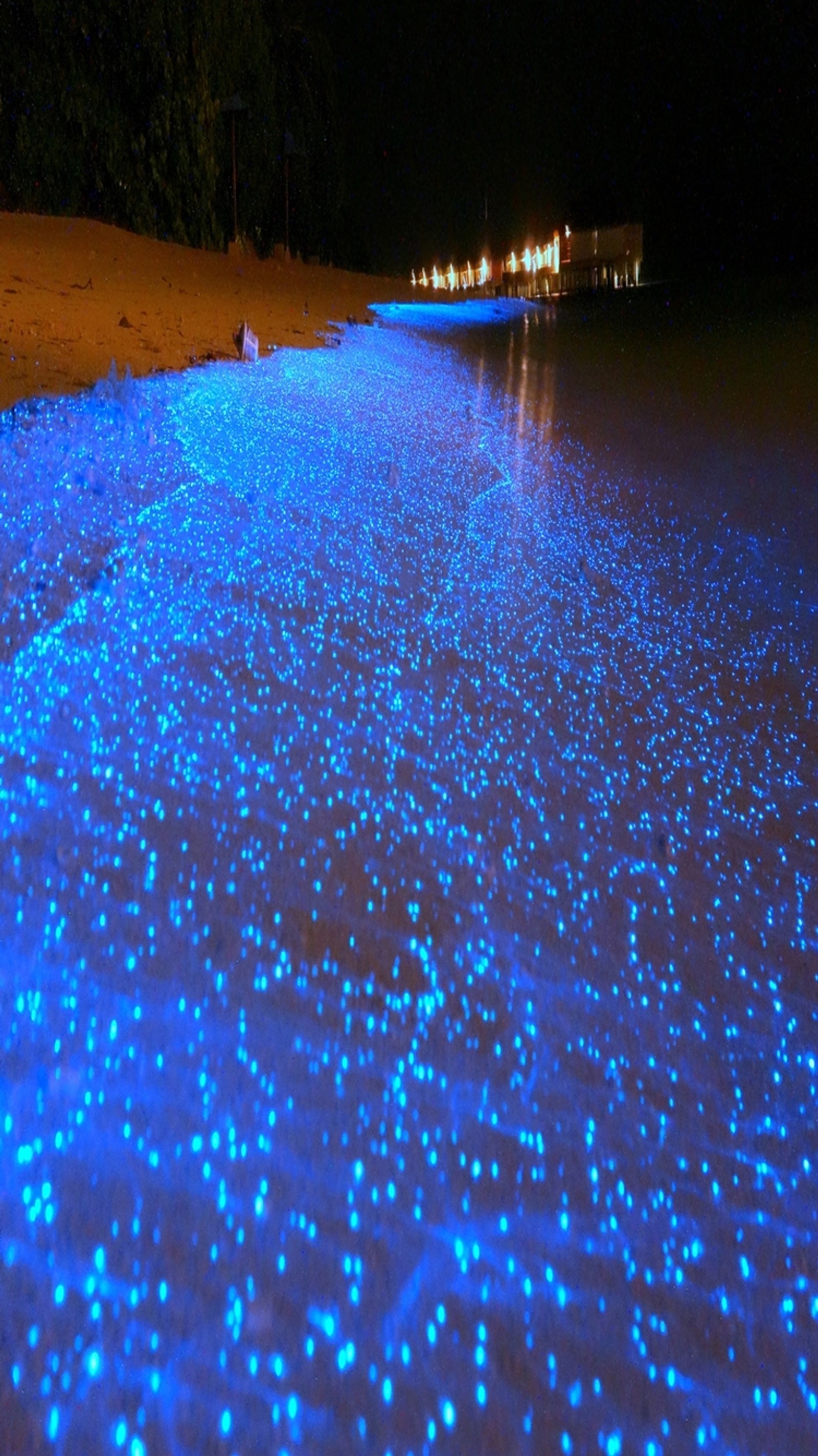 Uma praia com um brilho azul na água e um barco. (praia, brilho, noite, oceano, areia)