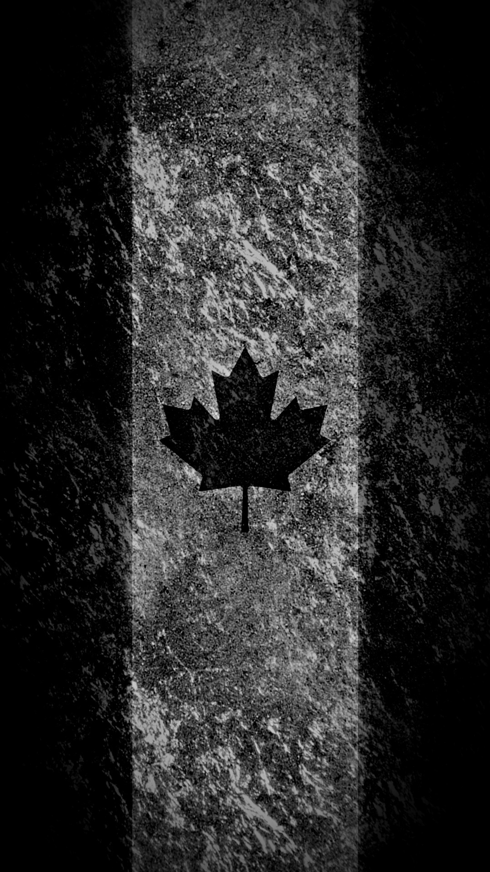 Un primer plano de una hoja sobre una superficie de concreto con sombra (blanco y negro, canadá)