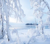 landscape, winter wallpaper