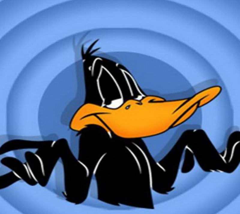 Близкий план мультяшной утки на синем фоне (мультфильмы, даффи дак, daffy duck)