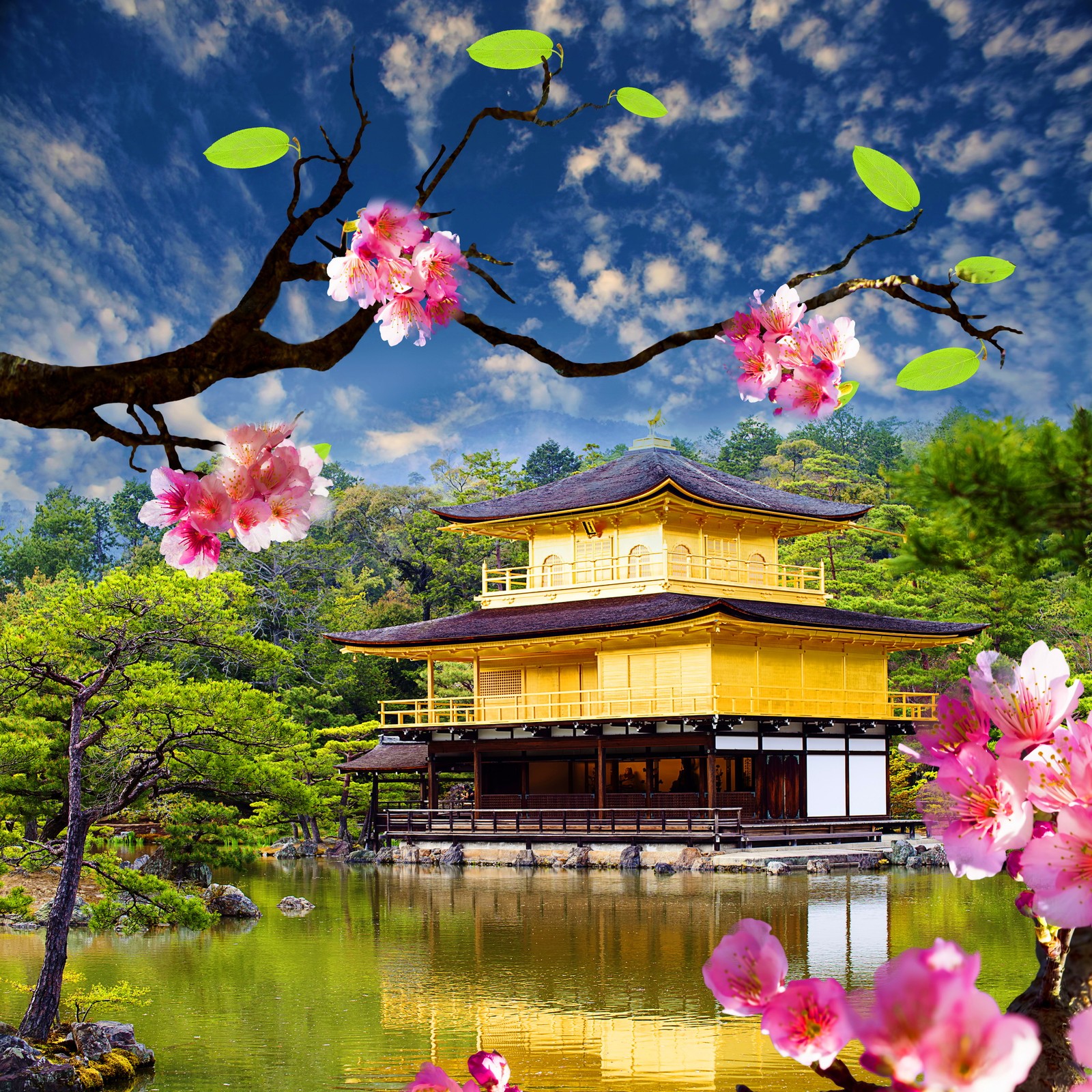 A close up of a tree with flowers near a building (asian, blossom, golden, nature, pavilion)