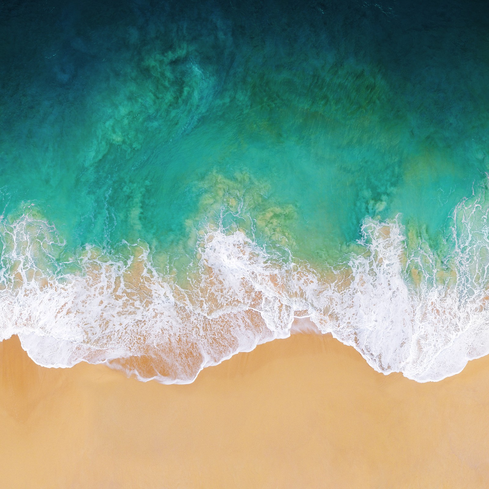 Vue aérienne d'une plage avec une vague venant sur le sable (pomme, plages, plage, océan, nature)