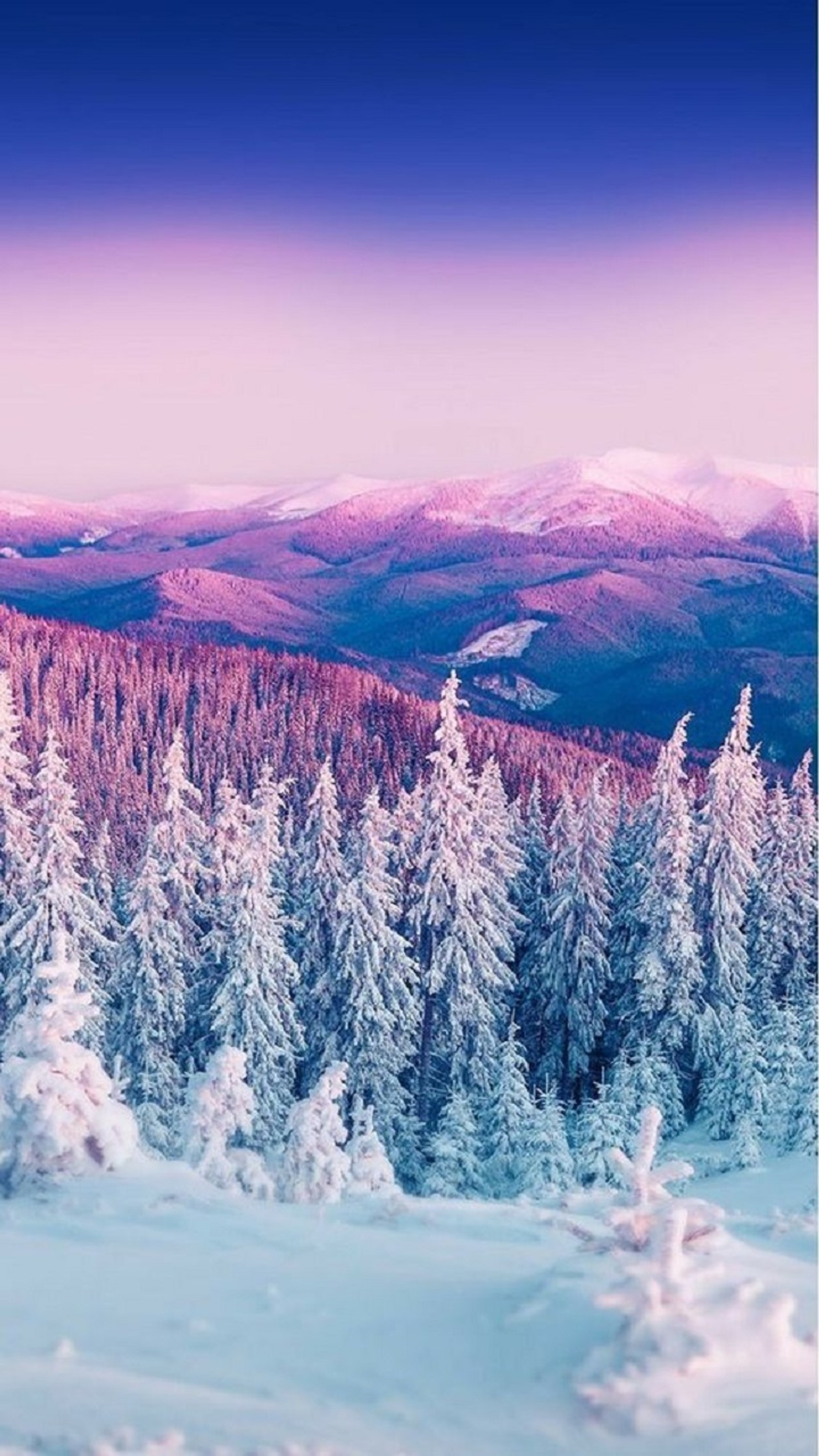 Des arbres enneigés au premier plan d'une chaîne de montagnes sous un ciel bleu (hiver, montagnes, neige)