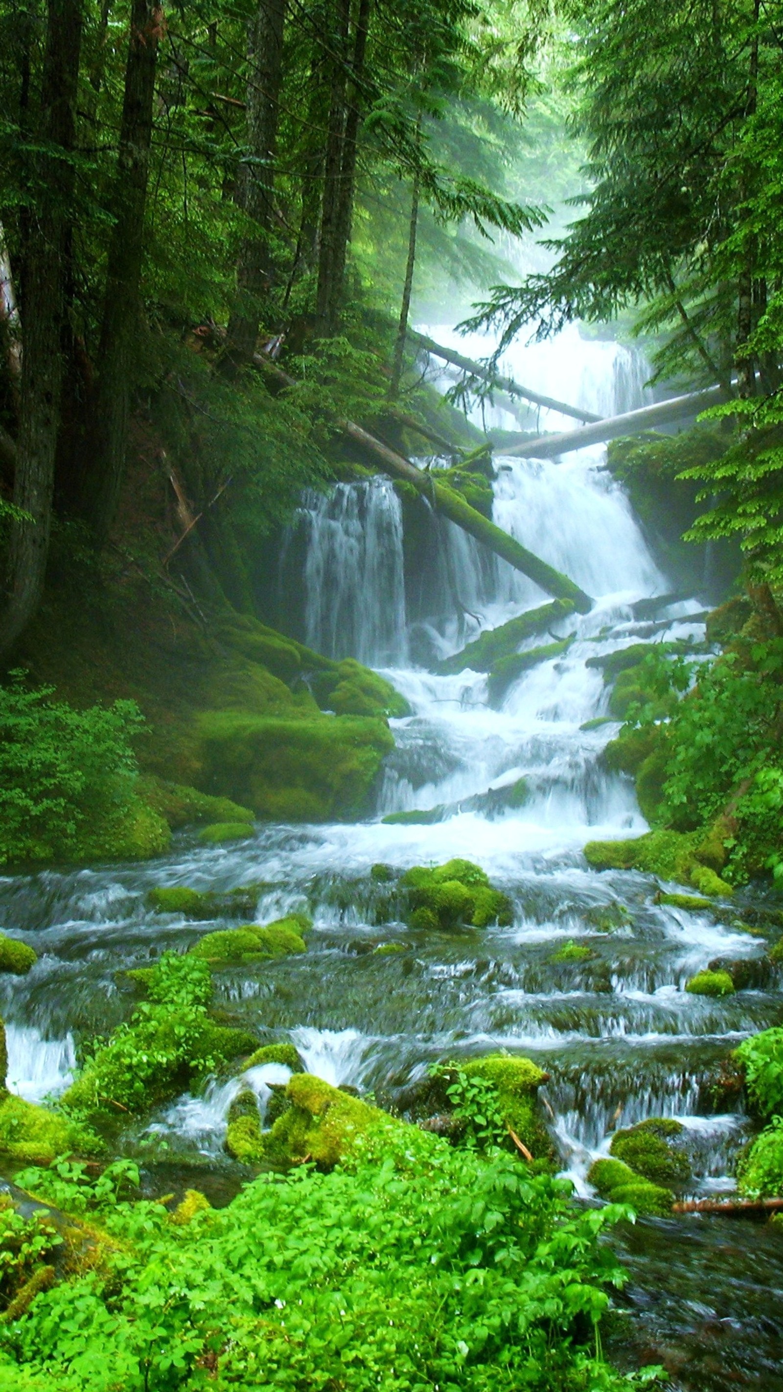 There is a waterfall in the middle of a forest with moss (mountain lake, nature)