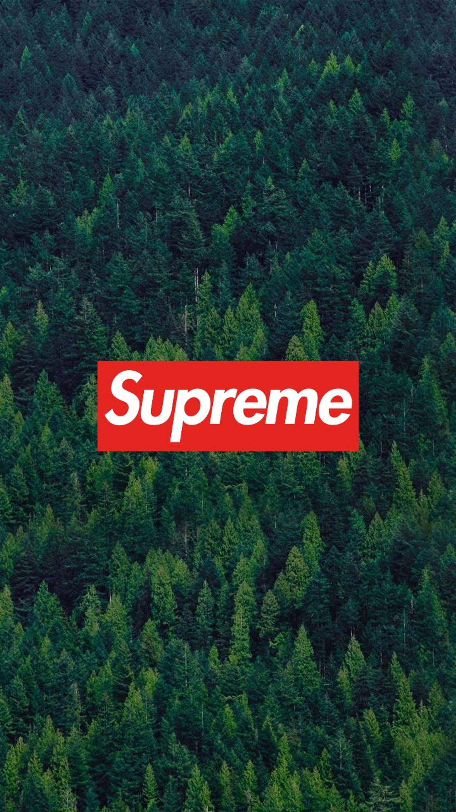 Logotipo supreme em um fundo de floresta (fores, supreme)