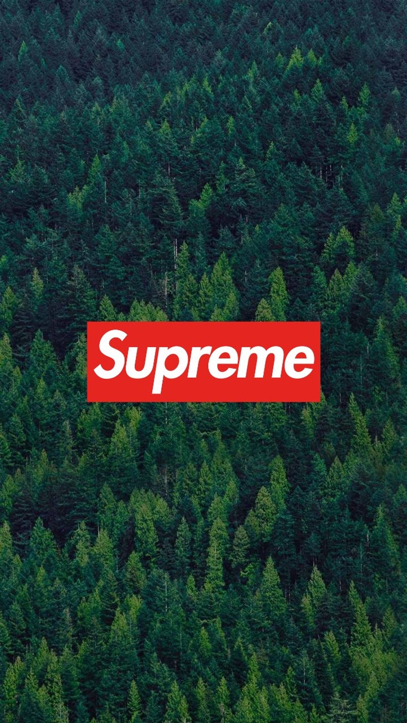 Логотип supreme на фоне леса (fores, supreme)