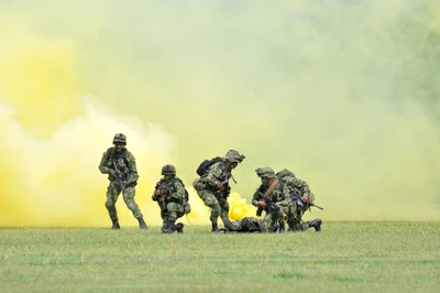 soldado, militar, organización militar, ejército, infantería