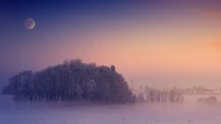 Paisagem de inverno nevoenta de manhã sob uma lua crescente