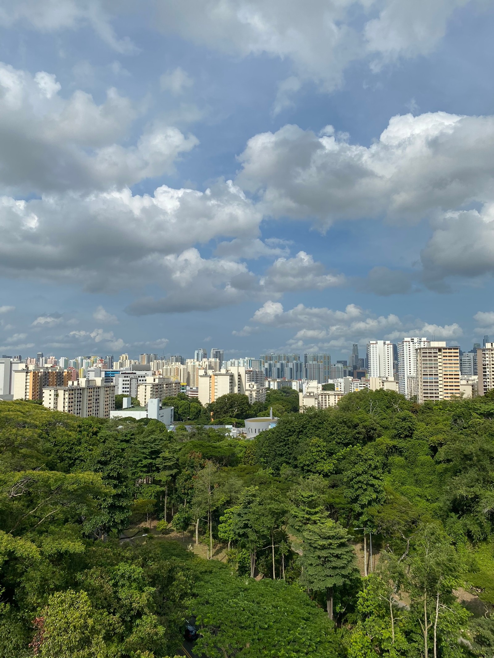 Araffe view of a city with a lot of trees and buildings (vegetation, nature, daytime, cloud, tower block)