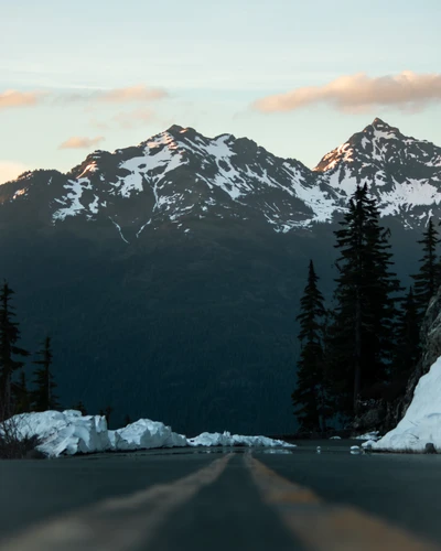 Chaîne de montagnes enneigées flanquée d'arbres hauts, menant à une route sereine dans un cadre de nature sauvage hivernale.