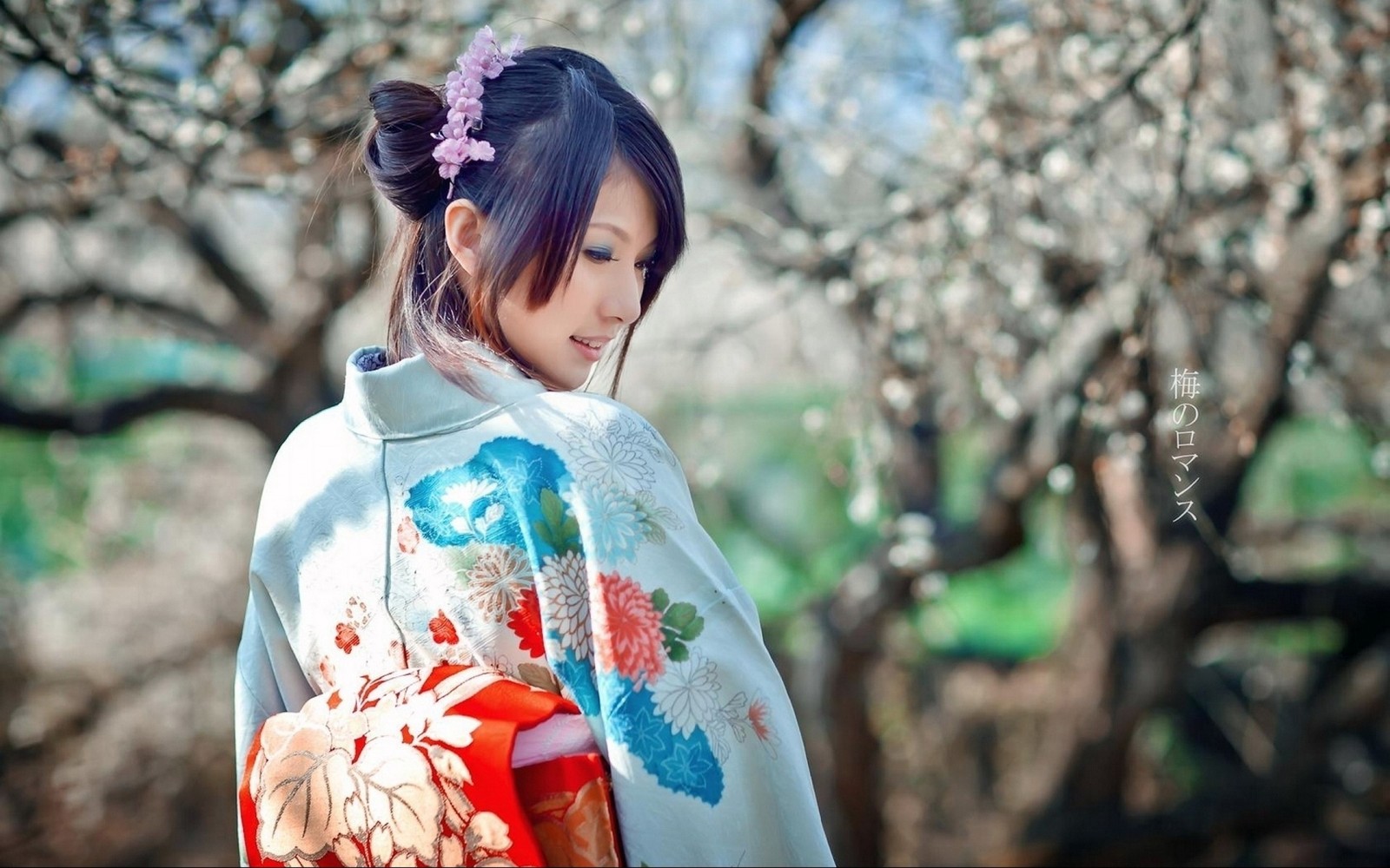 kimono, clothing, japan, yukata, geisha Download Wallpaper