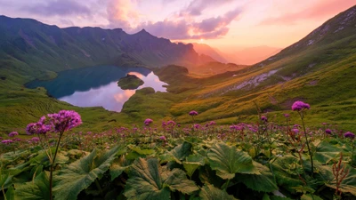 Atardecer sobre un lago sereno rodeado de flores silvestres en flor y majestuosas montañas