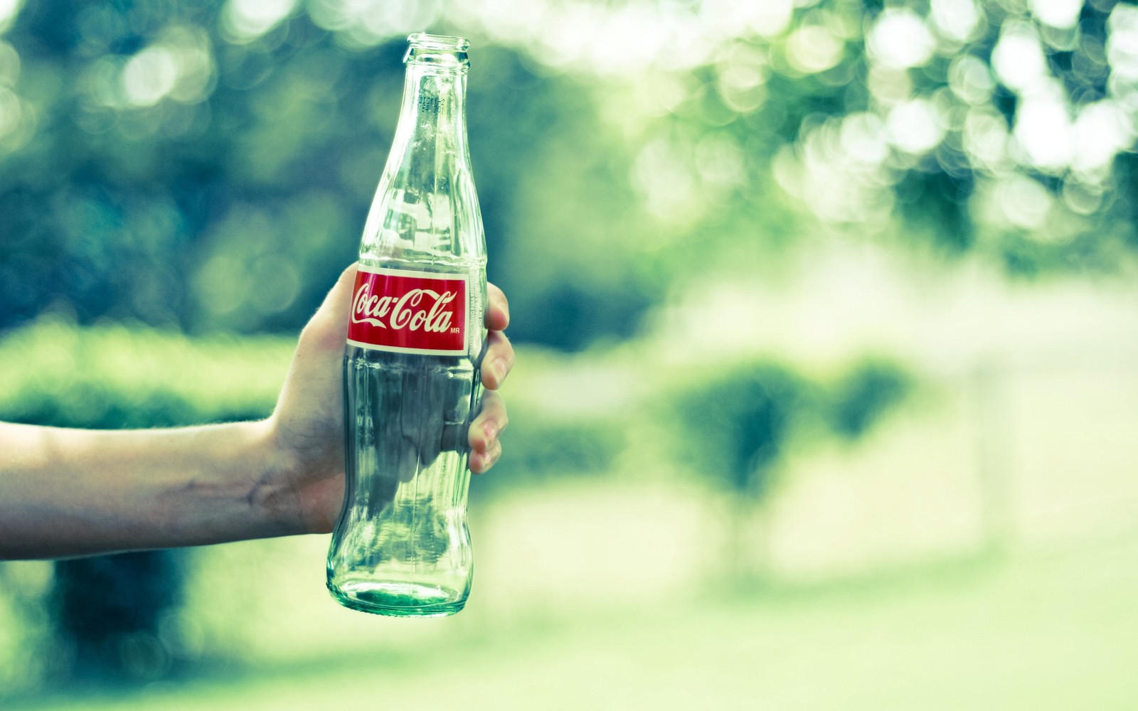 Alguém segurando uma garrafa de refrigerante na mão em um parque (coca cola, refrigerante, cola, garrafa, garrafa de vidro)