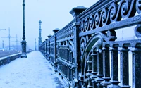 Cerca de ferro coberta de neve de uma ponte de inverno em uma paisagem urbana