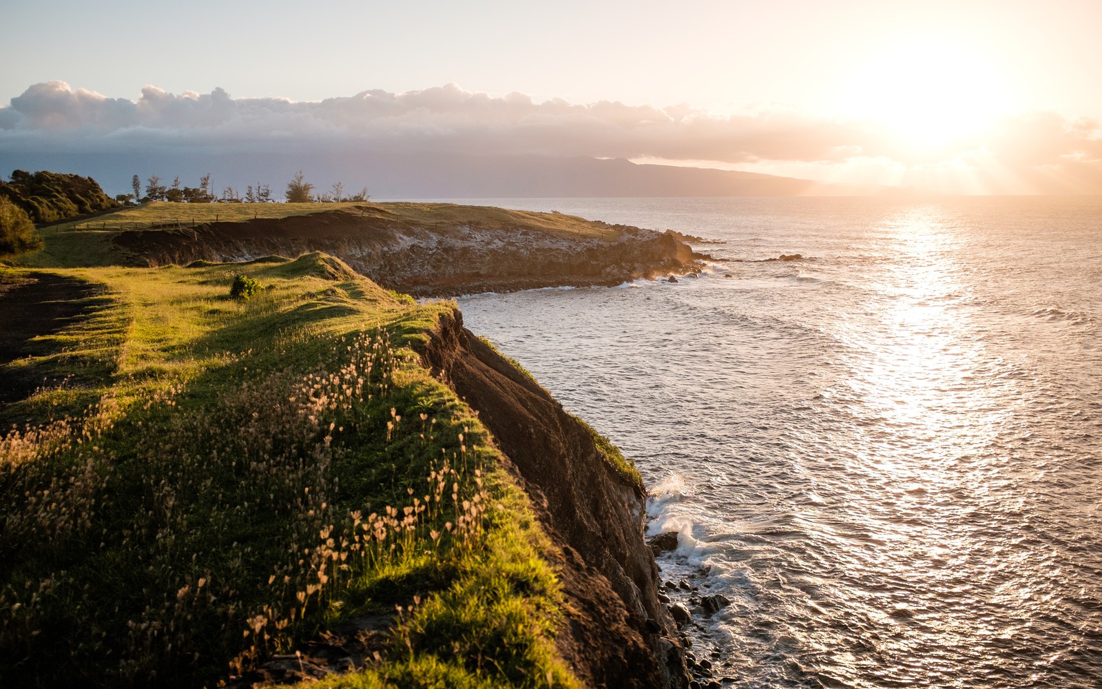 Uma vista de um penhasco com vista para o oceano ao pôr do sol (nuvem, água, planta, paisagem natural, luz solar)