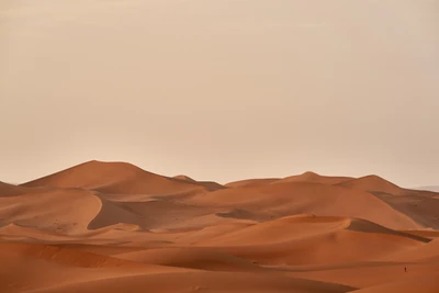 Dunas serenas de un paisaje desértico marrón al anochecer