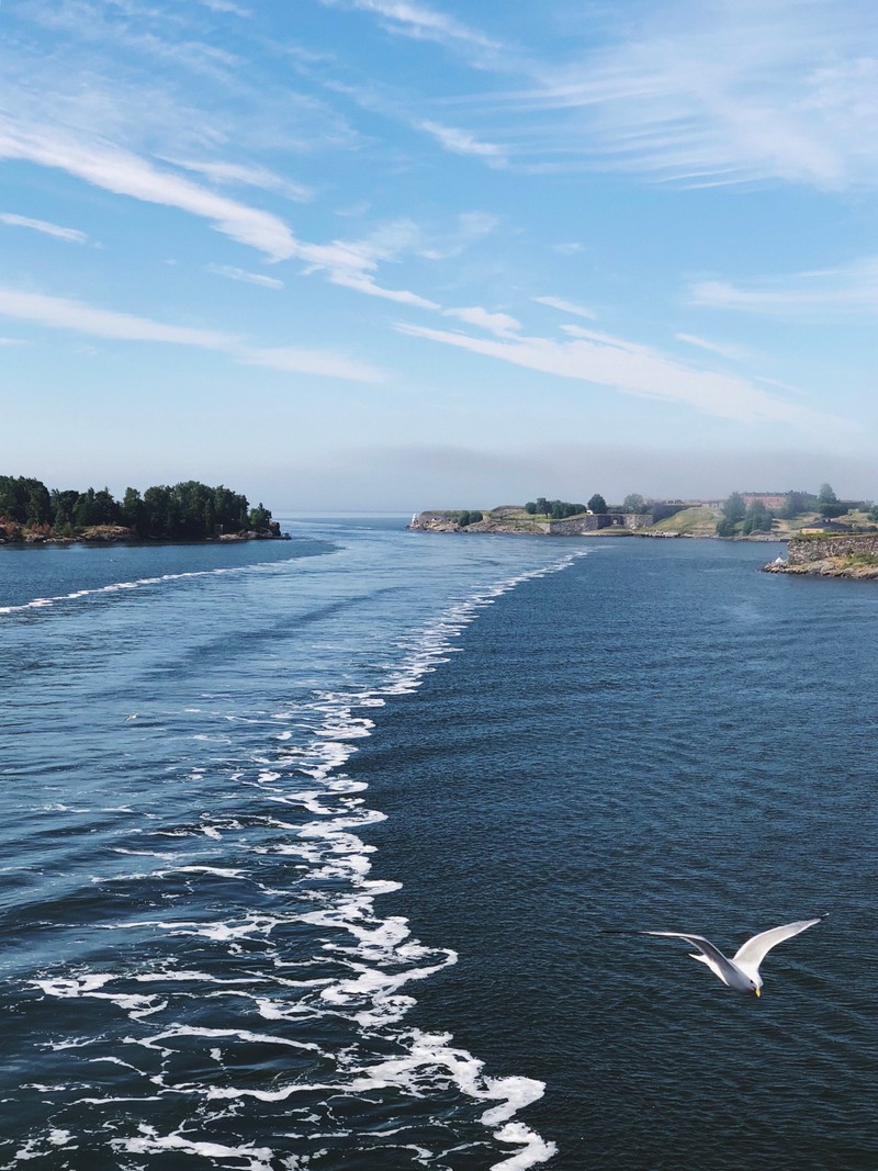 Арафед над водой с лодкой на заднем плане (море, берег, водные ресурсы, вода, водоем)