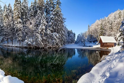 Serene Winter Landscape with Snow-Covered Trees and Reflective Lake