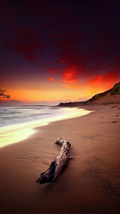 Pôr do sol sereno na praia com madeira flutuante