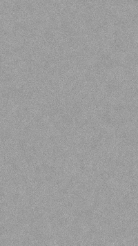 Smooth gray texture with subtle noise variations.