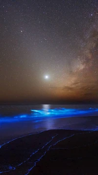 génial, beauté, bleu, brille, nuit