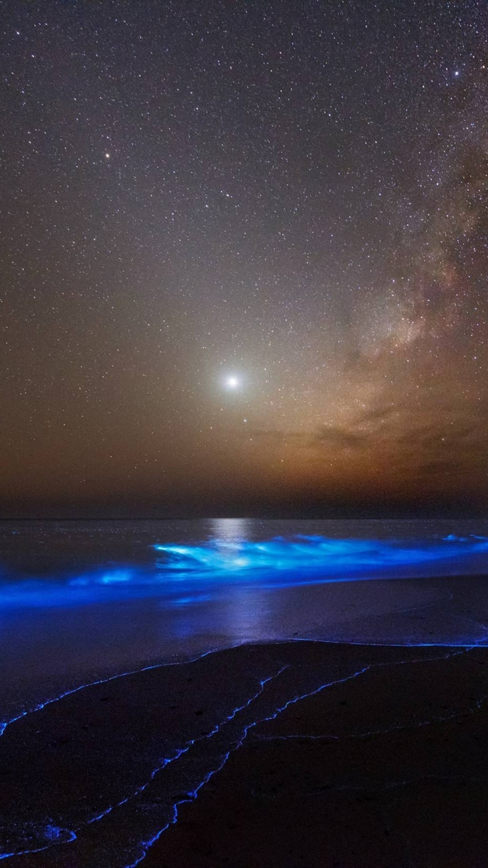 Starry night sky over the ocean with a bright blue wave (awesome, beauty, blue, cool, glows)