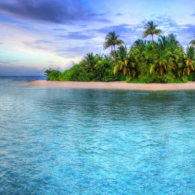 plage, île, palmier, paradis, tropical