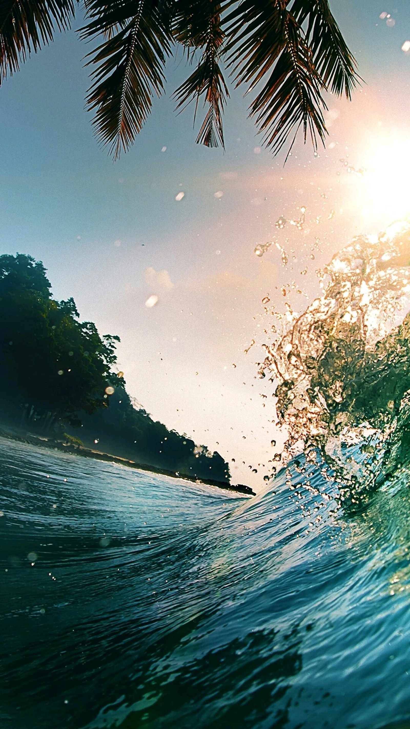 Surfer riding a wave in the ocean with palm trees in the background (hd, nature)