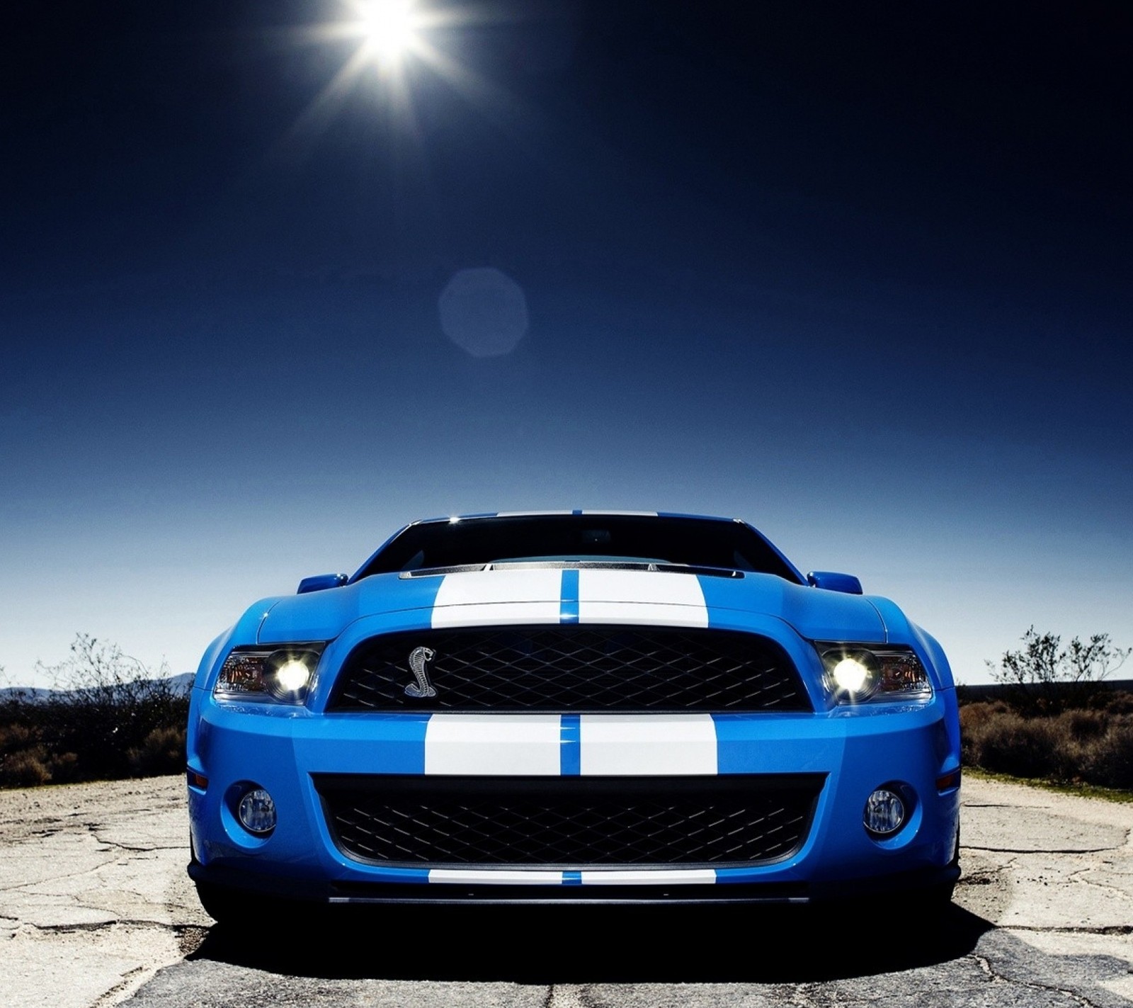 Eine nahaufnahme eines blauen mustang, der an einer straße parkt (auto, fahrzeuge)