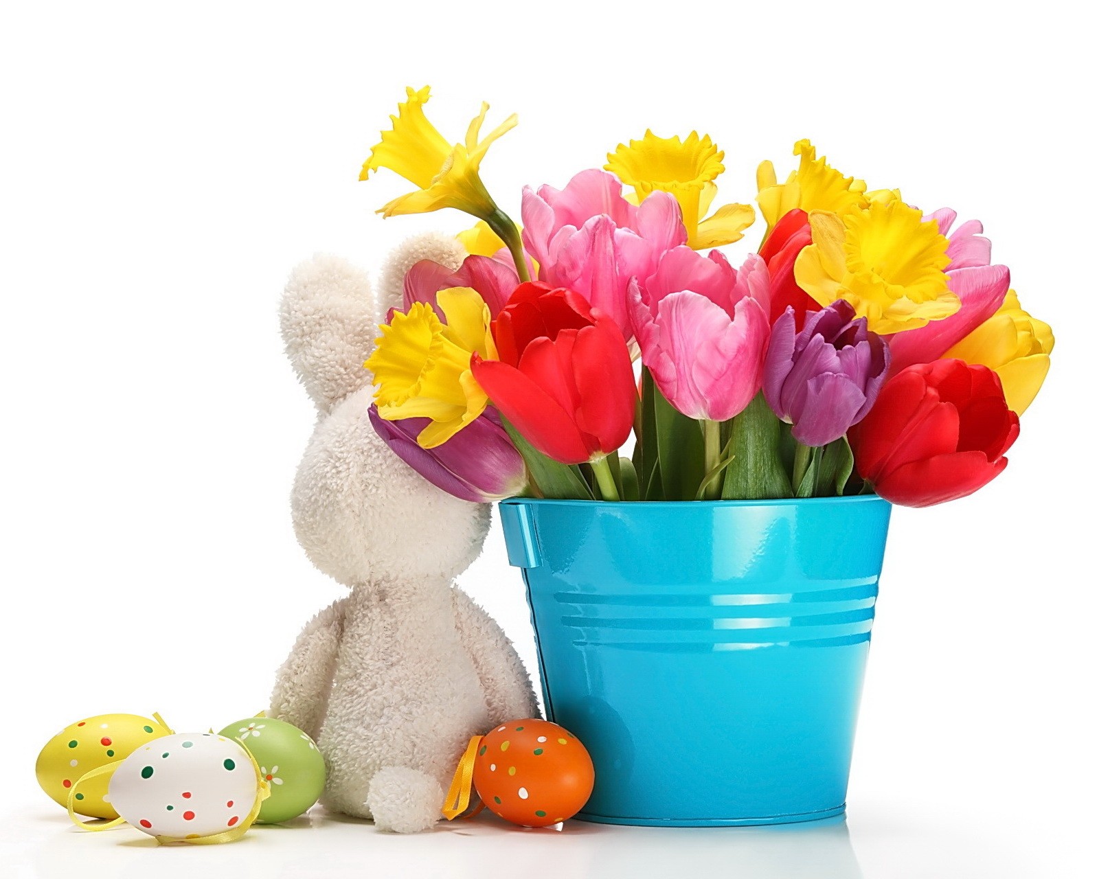 Lade hase, ostern, eier, frühling, tulpen Hintergrund herunter