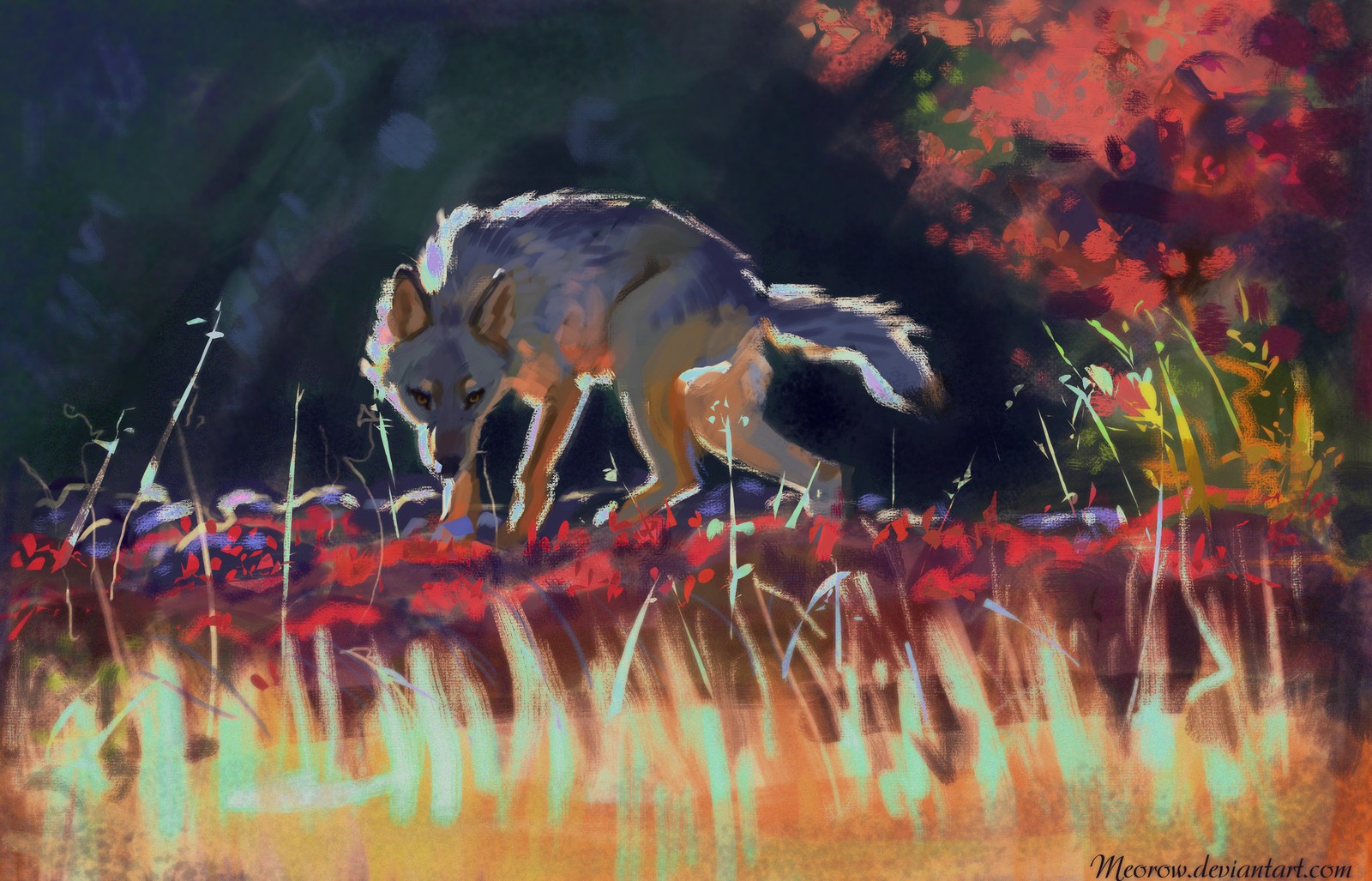 Painting of a wolf walking through a field of flowers (wolf, acrylic paint, painting, art, wildlife)