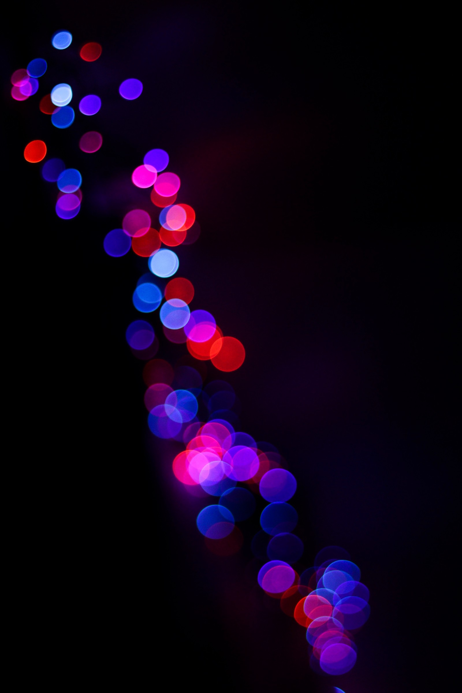 Brightly colored lights are arranged in a line on a black background (bokeh, violet, pink, purple, light)