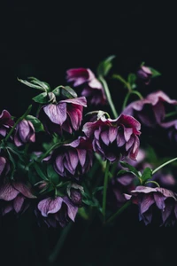 Arrangement floral élégant violet et rose