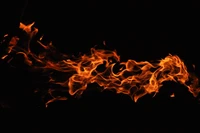 Flammes Divines : Éclairer l'Obscurité avec la Sagesse Biblique