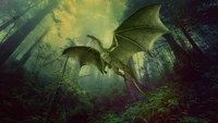 dragon, legendary creature, forest, mythical creature, illustration wallpaper