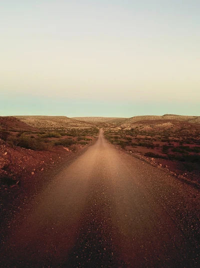 Serene Morning on a Dirt Road Through the Steppe Horizon