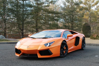 lamborghini aventador, lamborghini, lamborghini gallardo, машина, суперкар