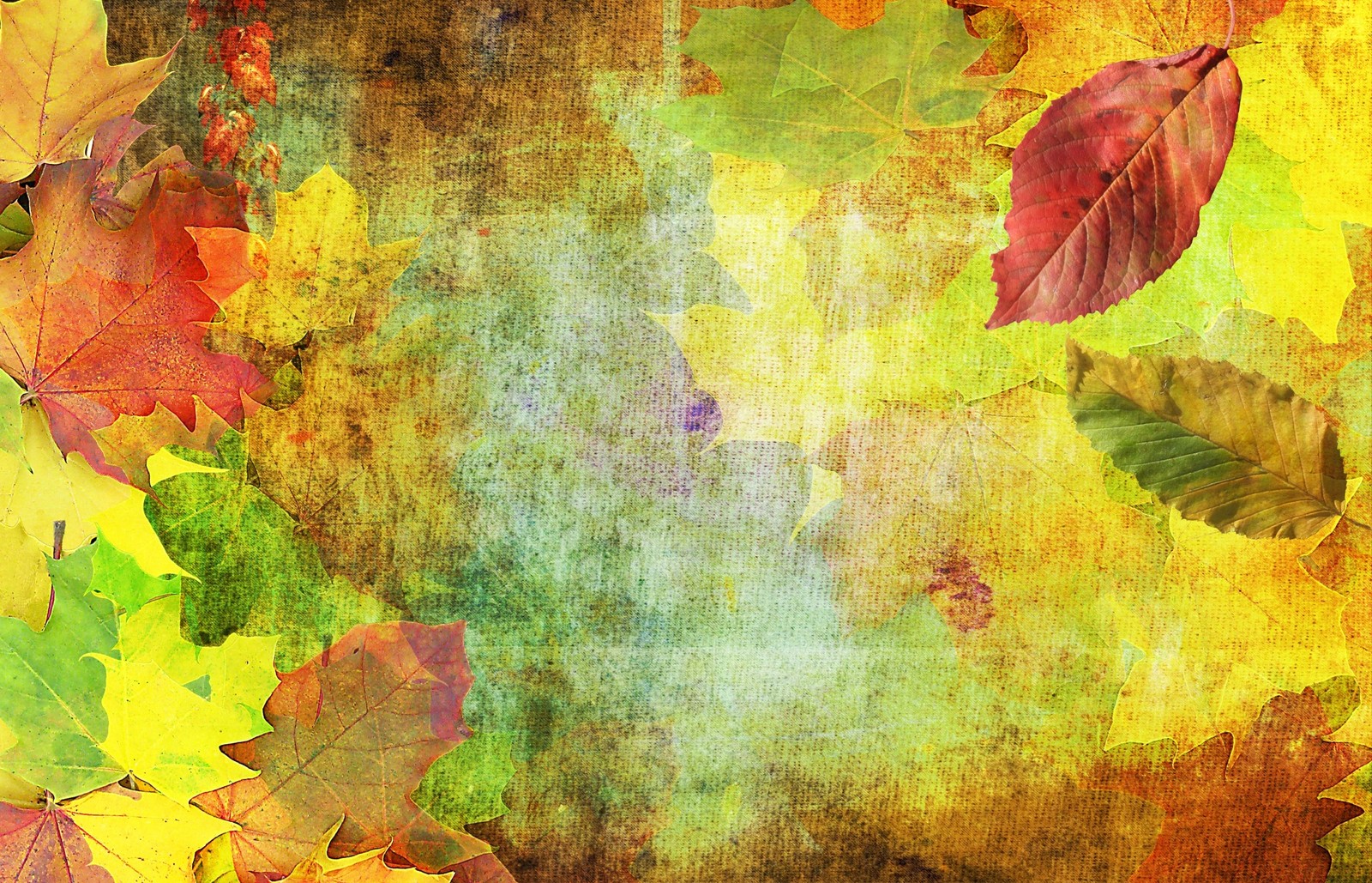 autumn, leaf, yellow, watercolor paint, painting wallpaper