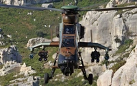 eurocopter tiger, airbus hubschrauber, maschine, baum, angriffshelikopter