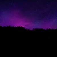 Majestic Silhouette of Trees Against a Purple Starry Sky