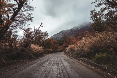 Winding Road Through Autumn Wilderness Under Cloudy Sky