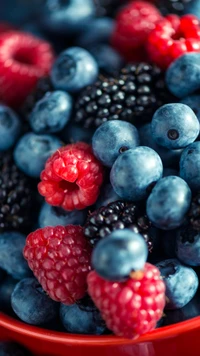 coloré, délicieux, fruits des bois