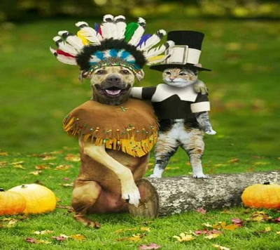 Ein Hund in einem indianischen Kopfschmuck und eine Katze, die als Pilger verkleidet ist, feiern gemeinsam Thanksgiving in einer festlichen Herbstszenerie.