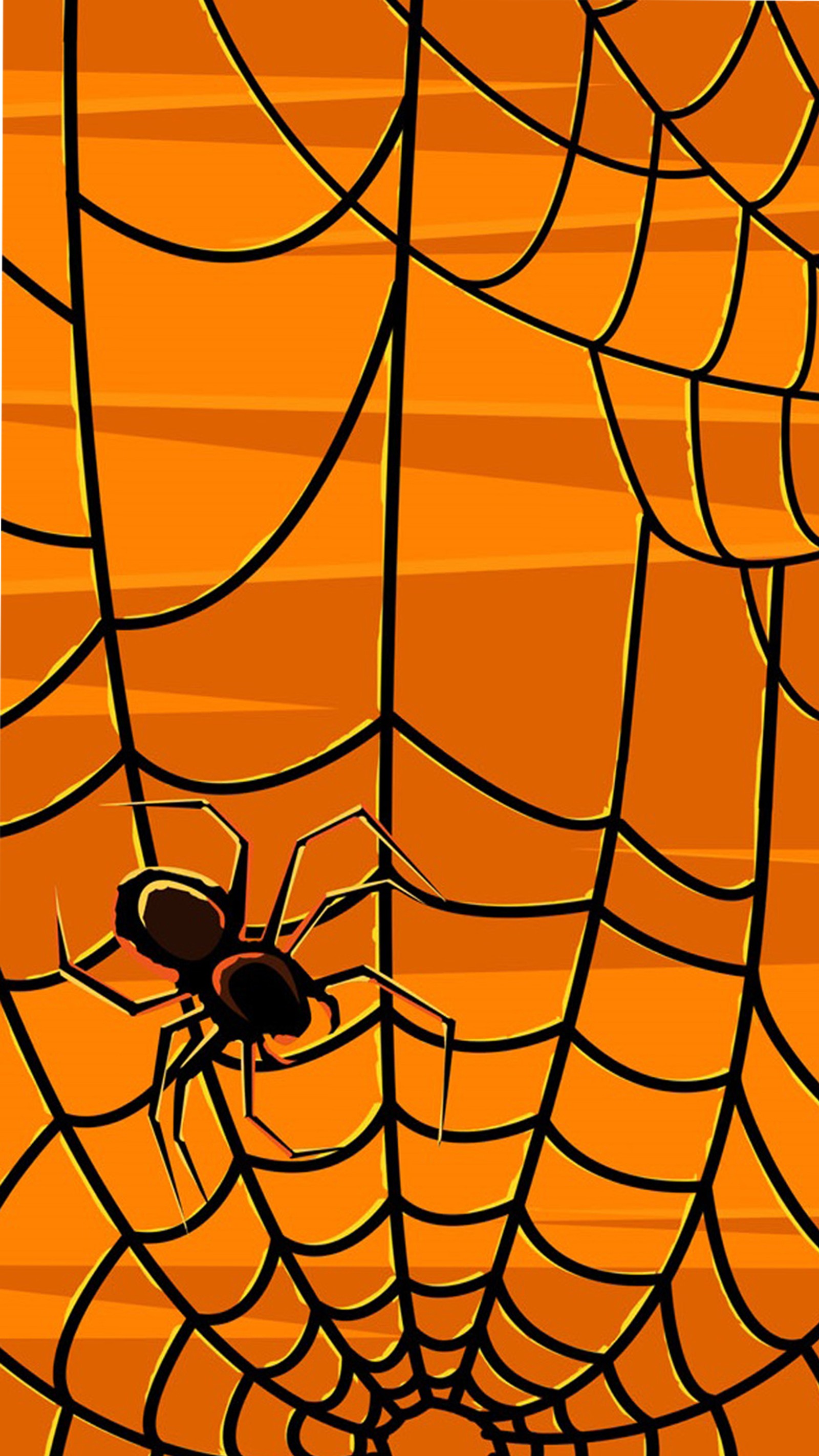 halloween, spider wallpaper