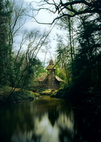 Sanctuaire Forestier Isolé : Un Cabane Enchantée au Bord d'un Ruisseau Tranquille